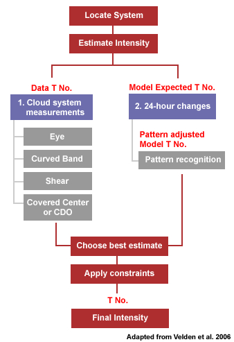 The basic steps in the Dvorak Technique (from Velden et al. 2006).