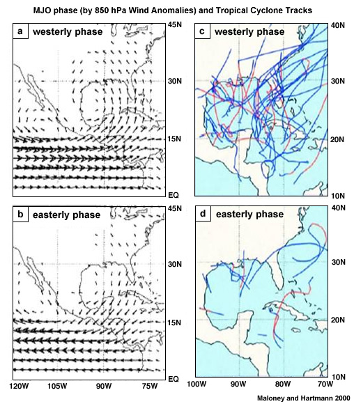 Analysis of the impact of the MJO on eastern Pacific and western Atlantic tropical cyclone activity on 850 hPa wind anomalies and tropical cyclone tracks