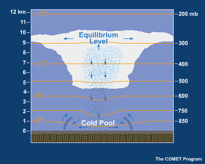 Suppression of convection due to stabilization of the boundary layer by the cool downdrafts.