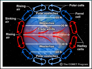 Three-cell model of the general circulation of the atmosphere