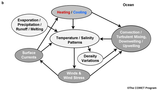 simplified conceptual model relating energy, density, and large-scale ocean dynamics.