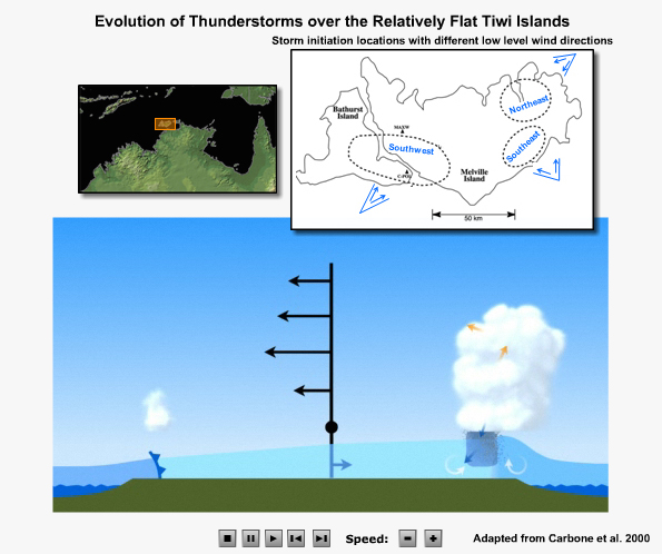 schematic of the evolution of Hector
