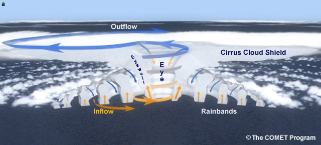 Main structural elements of tropical cyclones