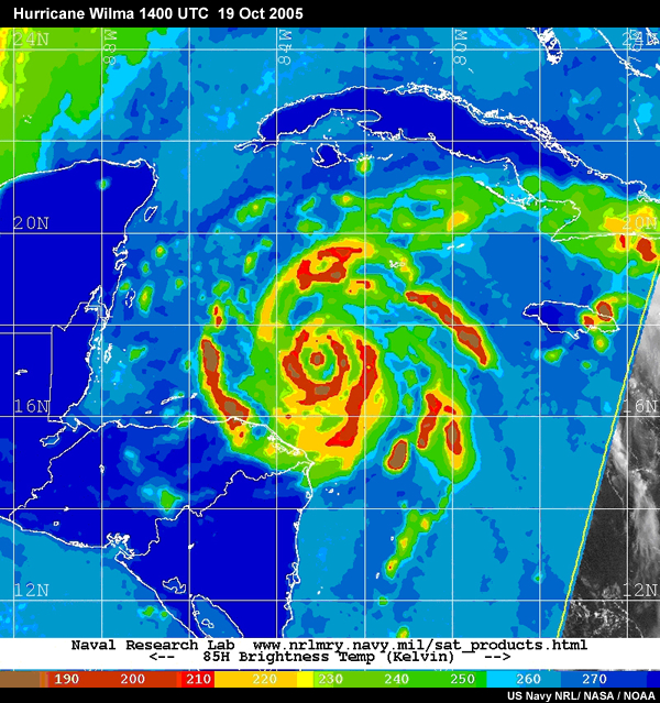 Major Hurricane Wilma at peak intensity at 1400 UTC 19 Oct 2005.