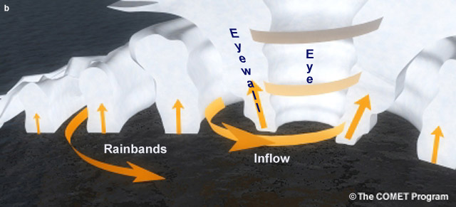 Main structural elements of tropical cyclones