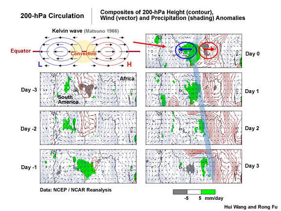 Composite of 200 hPa height (contour), wind (vector) and precipitation (shading) anomalies. Top left shows the theoretical Kelvin wave derived by Matsuno (1966).