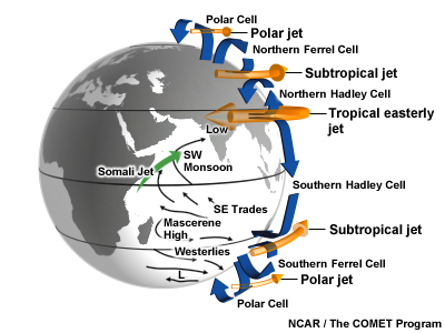 Schematic of the major circulations of the Indian Ocean, the planetary Hadley cell, the tropical easterly jet, and the Asian summer monsoon.