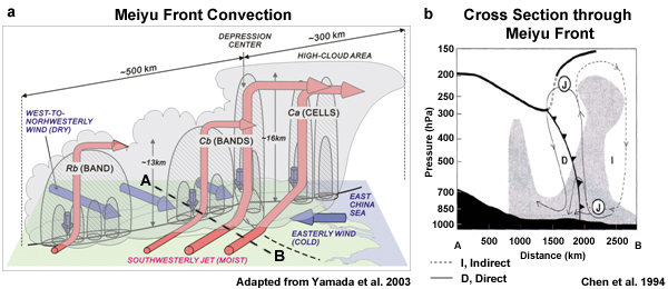 Schematic diagram showing the flow structure of an observed Meiyu front (from Y. L. Chen et al. 1994). The thin solid line depicts the direct (D) circulation while the thin dashed line depicts the indirect (I) circulation. The heavy solid line shows the frontal position. The character J denotes the jet positions. The thick heavy line represents the tropopause boundary. Regions with relative humidity greater than 70% are shaded.