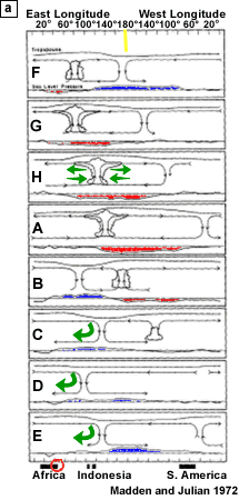 Schematic depiction of the longitudinal progression of the MJO across the tropical Indian and Pacific Oceans