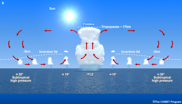 Cross-section showing the meridional circulation