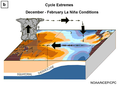 Schematic of upper ocean and atmospheric circulation during the (b) La Niña extremes.