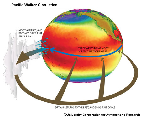 Schematics of the Pacific Walker Circulation.