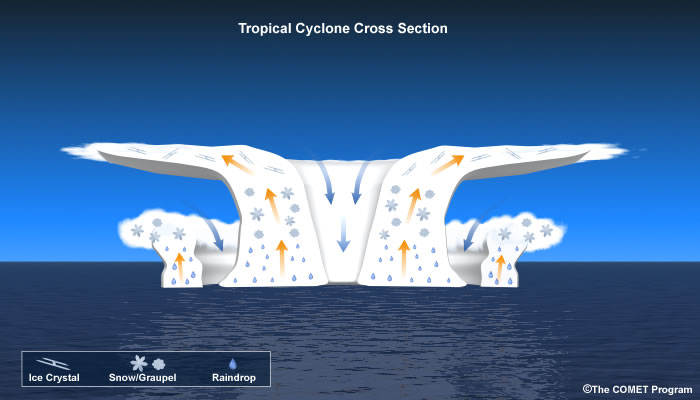 Schematic of the cross-section through a tropical cyclone