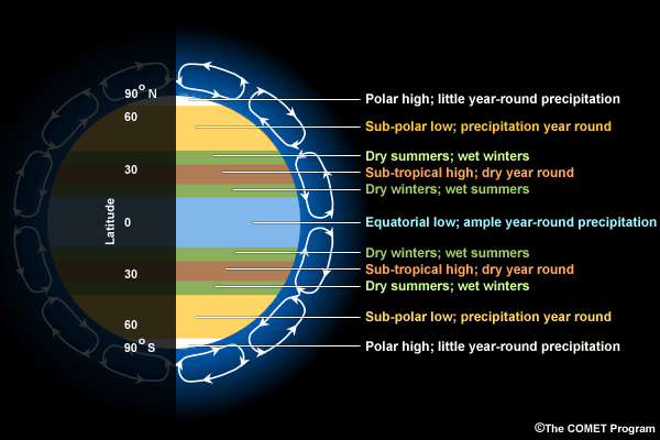 precipitaion patterns by latitude