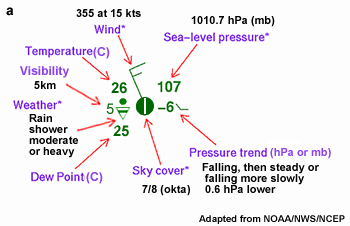 surface station model
