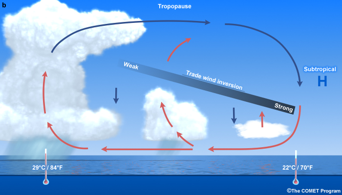 conceptual model of the vertical profile of the trade wind inversion