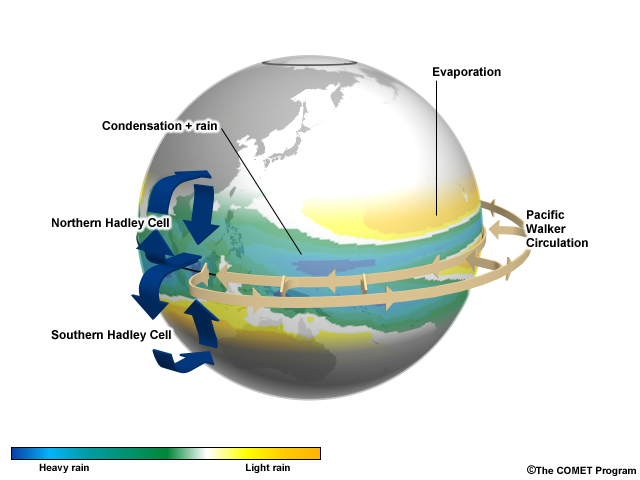 Tropical circulations that result from (a) anti-symmetric and (b) symmetric components of diabatic heating.