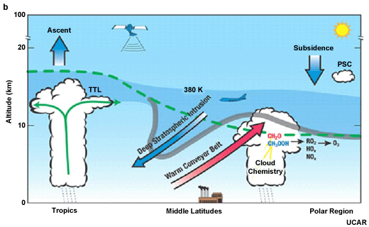 Schematic of the TTL, convection, and vertical transport in the tropics, the mean temperature profile where CPT is the cold point tropopause. (Lower) Important processes coupling dynamics, chemistry and cloud microphysics in the upper troposphere and lower stratosphere. The dashed green line denotes the time average tropopause. In the tropics, maximum outflow from deep convection occurs near ~12-14 km; while the cold point tropopause occurs near 17 km. Deep blue shading marks the TTL. Extratropical stratosphere-troposphere exchange occurs in tropopause folds and intrusions linked with synoptic weather systems, which transport stratospheric ozone into the troposphere. Green arrows represent transport of near-surface pollutants into the upper troposphere, strongly influencing global-scale chemistry. Adapted from Stohl et al. (2003)