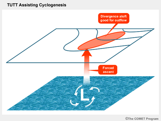 Contribution of the TUTT to tropical cyclogenesis.