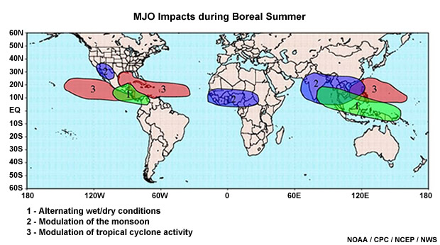 Global pattern of MJO impacts during Boreal summer