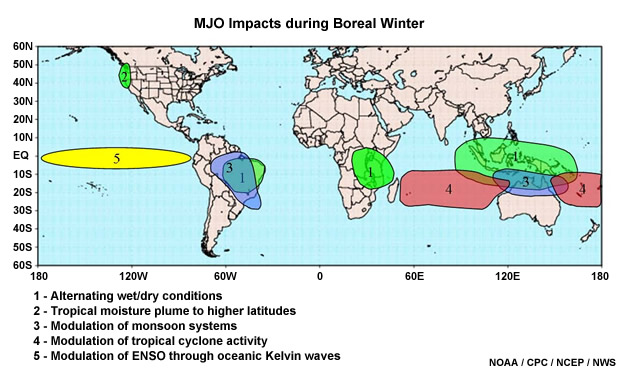 Global pattern of MJO impacts during Boreal winter