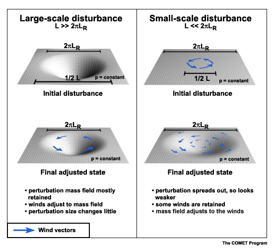 Large Scale Disturbance vs. Small-scale Disturbance