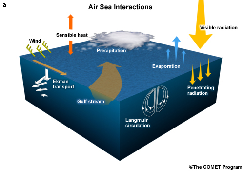 Schematic of general air-sea interactions involving transfer of momentum, heat, moisture, and radiation.