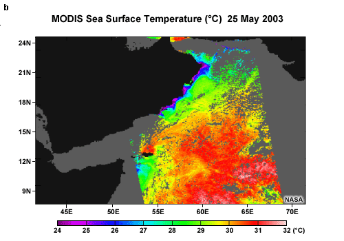 MODIS image of sea surface temperature over the Arabian Sea showing cold temperatures along the coast of Oman due to upwelling. 25 May 2003