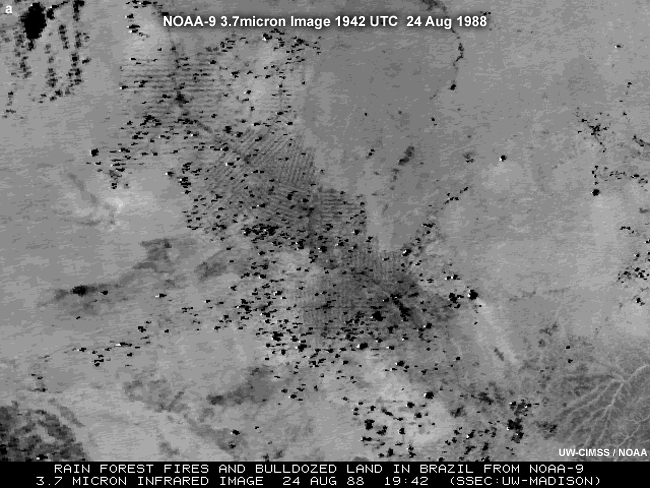 NOAA POES 3.7 micron (Near IR) image showing fires and land surface changes in Brazil