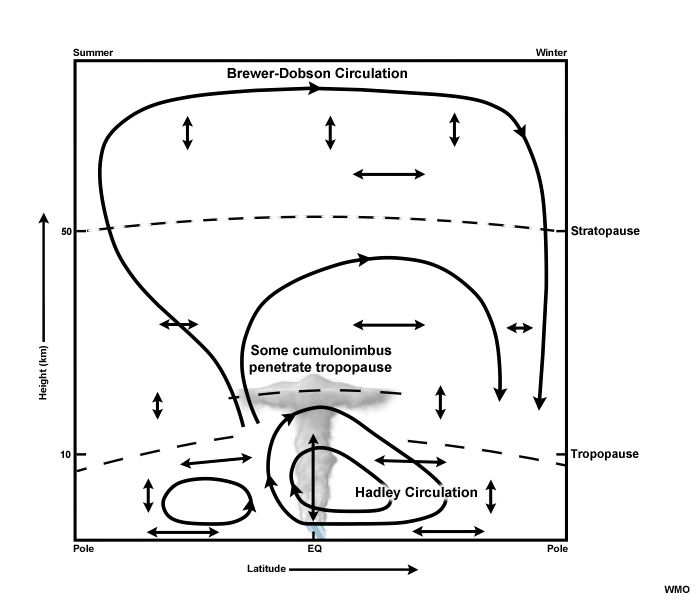 Schematic of mean meridional tropospheric and stratospheric circulation at the solstice (WMO 1985 ). Much of stratospheric air enters through the tropical tropopause.