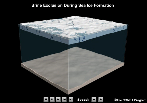 Conceptual animation of brine exclusion and subsidence of dense water when sea ice forms