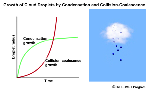 Conceptual model of (a, left) the rate of growth of cloud droplet radius by condensation and collision-coalescence and (b, right) collision-coalescence in warm clouds