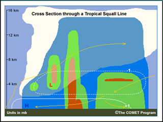Cross-section through a tropical squall line