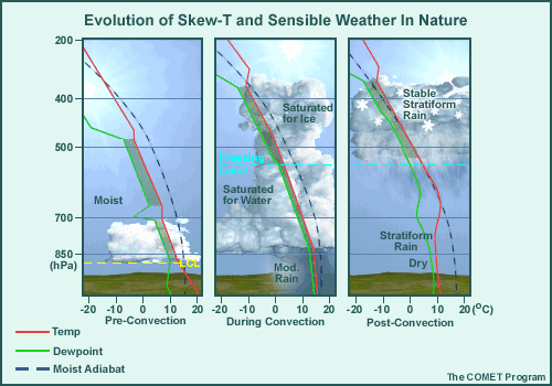Stages of Cumulus Convection with conceptual sounding and cloud