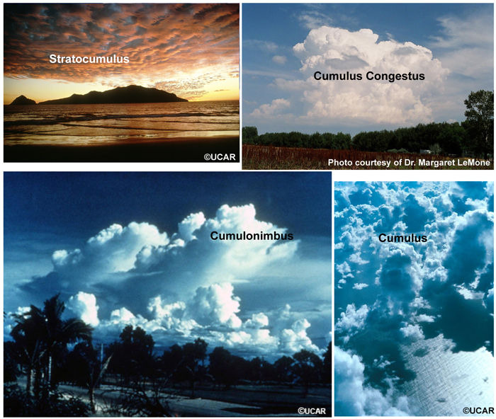 Photographs of cumuliform clouds