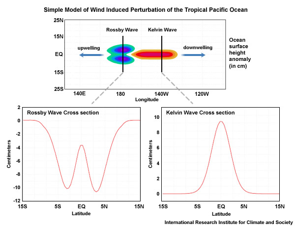 Idealized model of a single equatorial eastward-moving Kelvin wave generated by wind stress anomaly (red and orange) and corresponding Rossby waves propagating westward. 