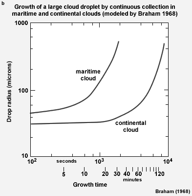 Modeled growth of a large cloud droplet by continuous collection in maritime and continental clouds