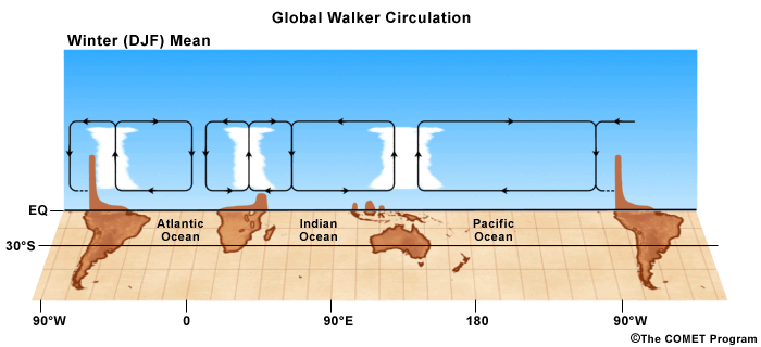 global Walker Circulation for Winter 