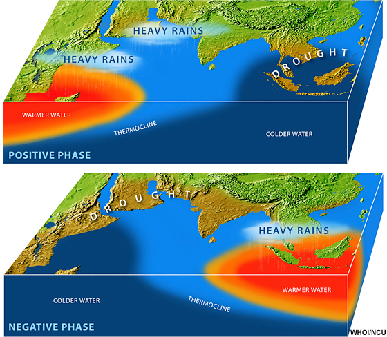 Schematic of the positive and negative phases of the Indian Ocean Dipole
