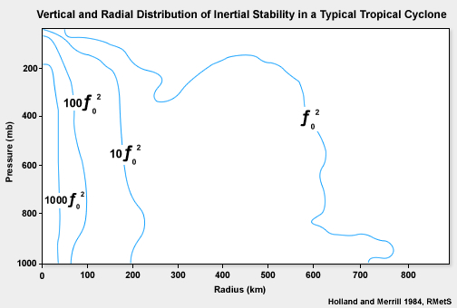 Vertical and radial distribution of inertial stability in a typical tropical cyclone