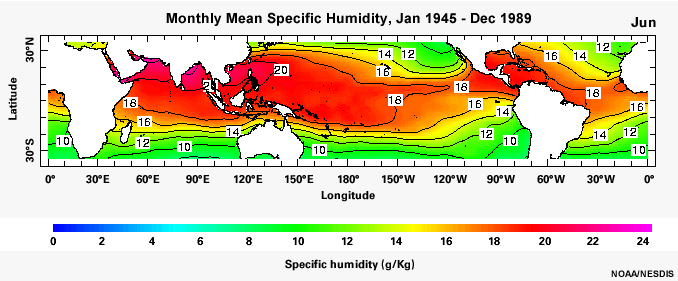 Monthly mean specific humidity for the period January 1945 to December 1989 