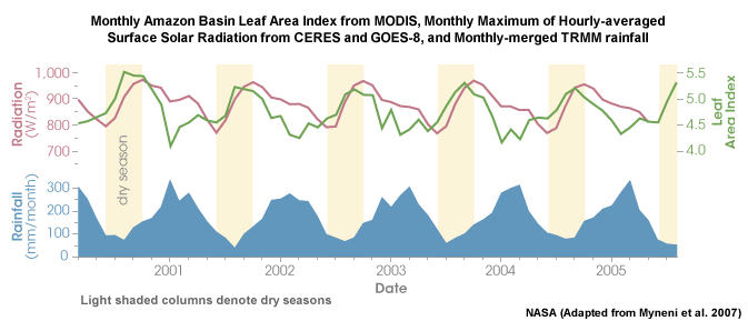 Time series of Amazon Basin monthly leaf area index (LAI)* from the Terra MODIS, monthly maximum of hourly average surface solar radiation from Terra CERES and GOES-8 (red), and monthly merged precipitation from TRMM and other sources