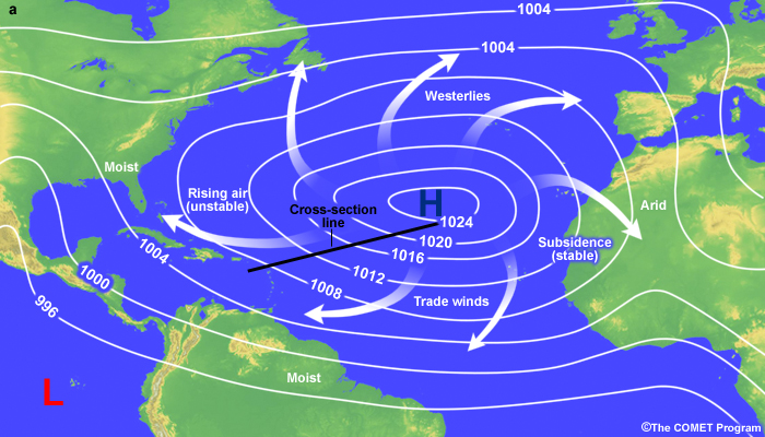 Schematic of mean sea level pressure and air flow