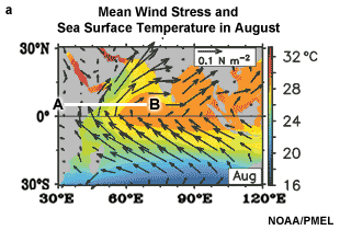 Mean wind stress at the ocean surface showing the low-level Somali Jet which results from the strong cross equatorial pressure gradient and the high terrain of East Africa.