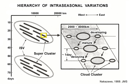 Schematic depicting intraseasonal variability (ISV; slanting ellipses) of large-scale cloud complexes.