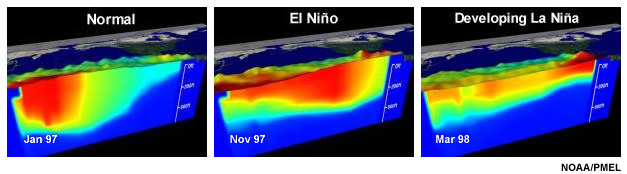 SST and water temperature profile in the Equatorial Pacific Ocean illustrate how the upper ocean changes during the transition from normal to El Niño to the development stage of El Niña.