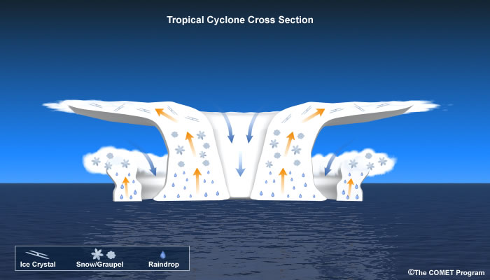 Schematic of the cross-section through a tropical cyclone 