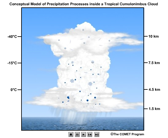 Animation of precipitation processes in a cumulonimbus over ocean
