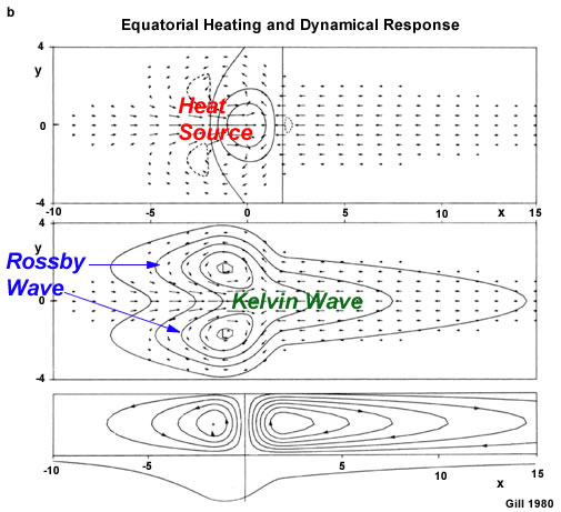 Other views of the circulations: horizontal wind vectors and vertical velocity contours; perturbation pressure contours overlaid on the same wind vectors; meridional integrated flow. The Rossby waves propagated westward and the Kelvin wave propagates eastward.