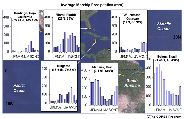 Monthly mean precipitation in the Americas